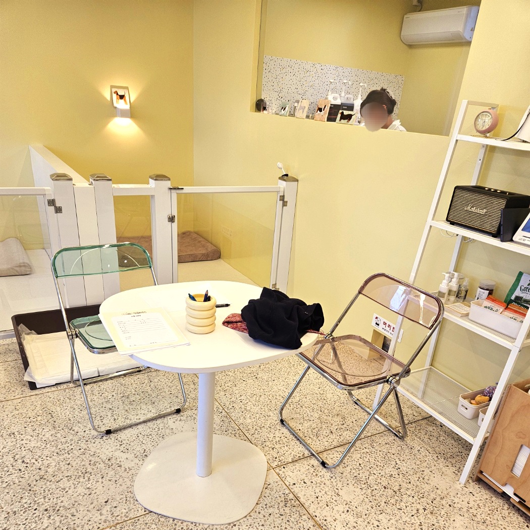 김포 사우동 애견미용 애견호텔