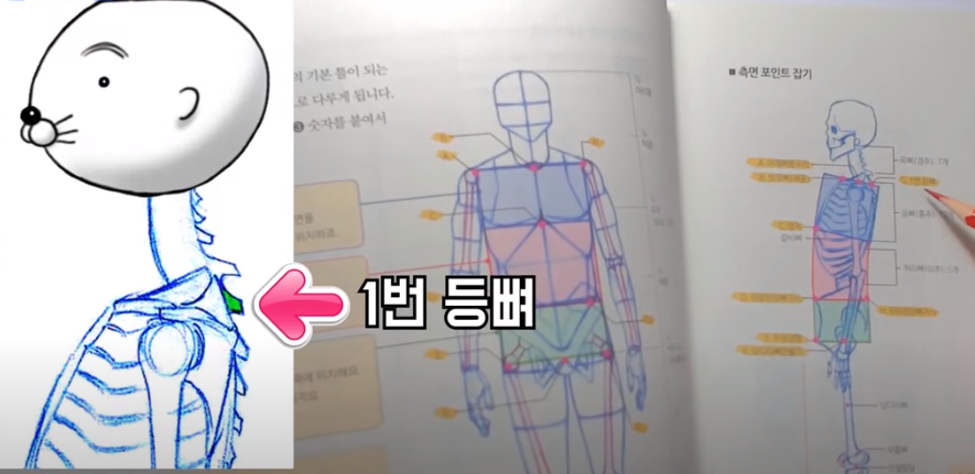 김락희의 인체 드로잉