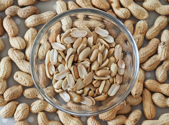 아르기닌의 모든 것: 효능, 부작용, 복용법까지 총정리!(2025년 최신정리)