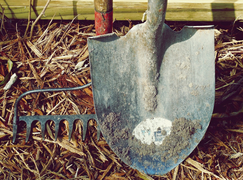 4월에 심는 작물 추천 리스트