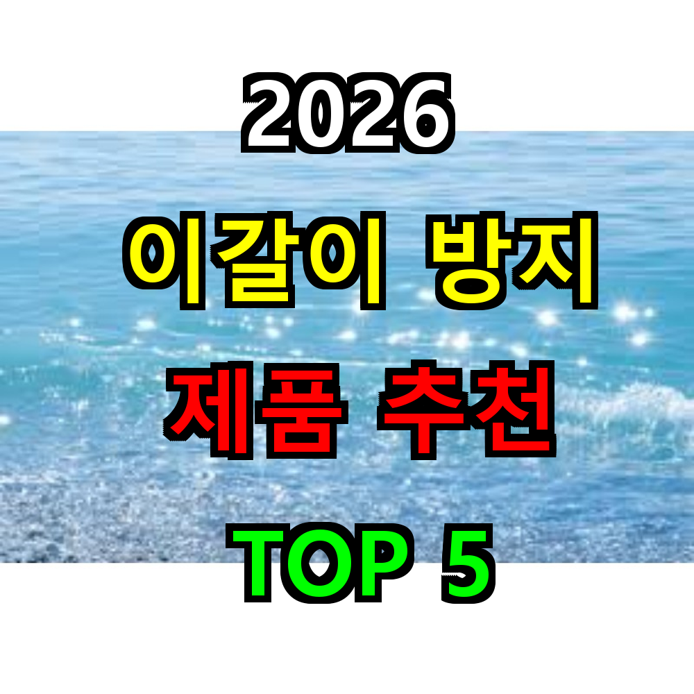2026 이갈이 방지 제품 추천 TOP 5