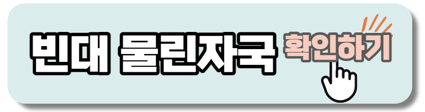빈대물린자국