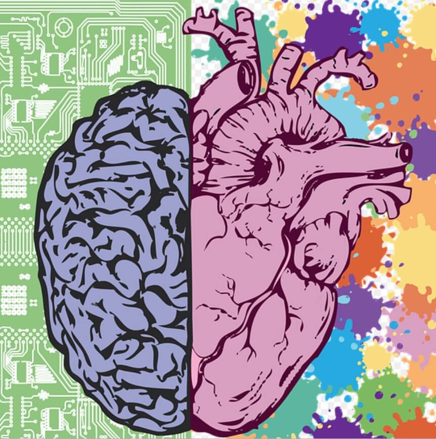 재벌집 막내아들 진양철 병 재벌집 막내아들 진양철회장 병 재벌집 막내아들 진양철 동정맥 기형 재벌집 회장 질병 재벌집 회장 뇌동맥기형