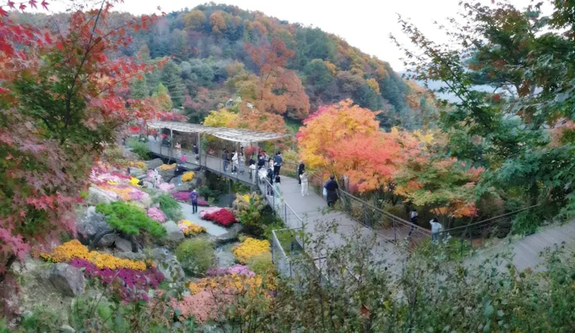 화담숲 숨은 포토스팟