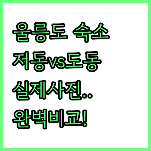 실제 사진으로 보는 울릉도 저동 도동..