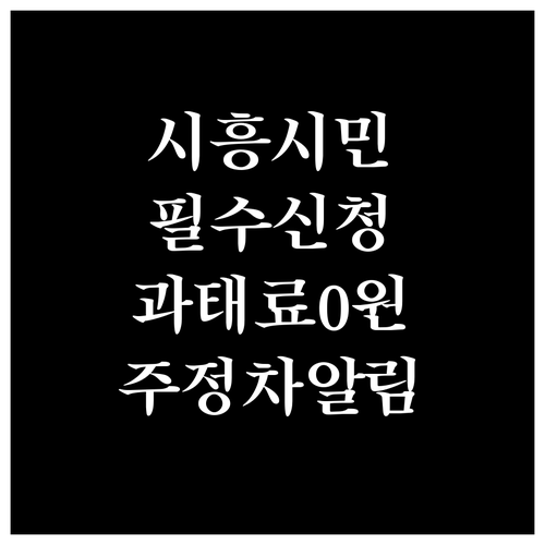 시흥시 주정차단속알림 서비스 신청으로..