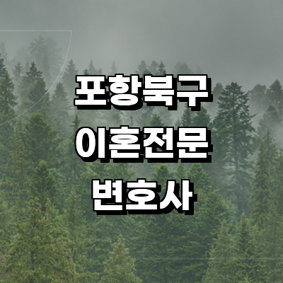 포항시 북구 이혼 변호사