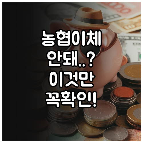 농협 이체 오류 원인과 해결법 점검 ..