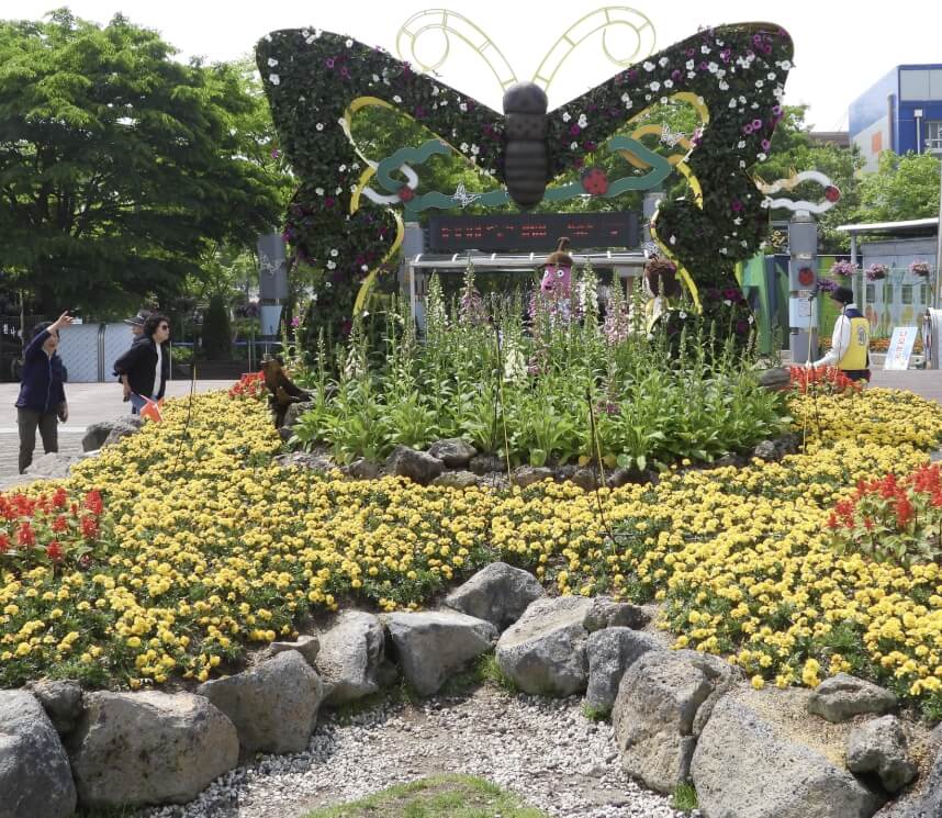 함평 나비축제 기간. 입장료. 초대가수