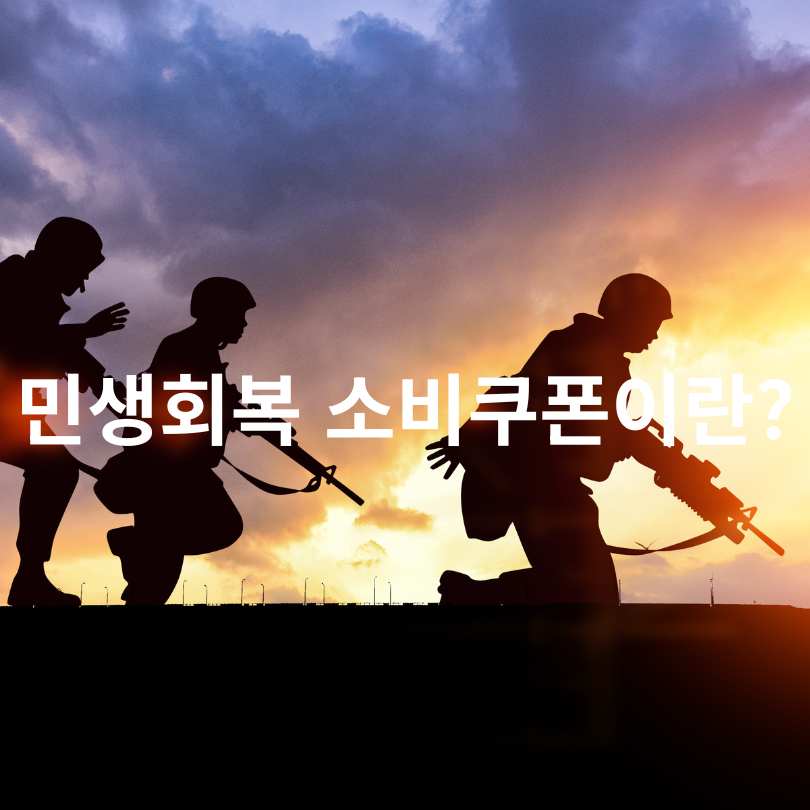 민생회복 소비쿠폰을 PX에서 가능할까?