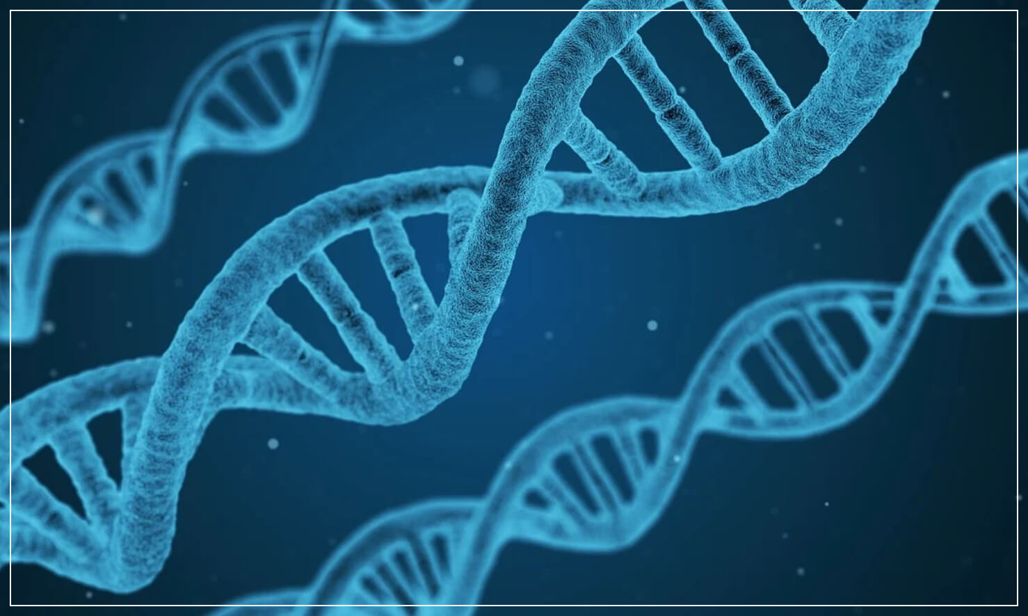 코엔자임 큐텐의 효능