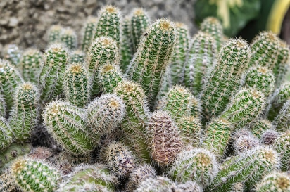 실업급여와 조기재취업수당