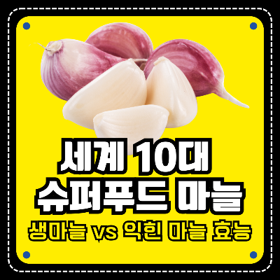 마늘 효능