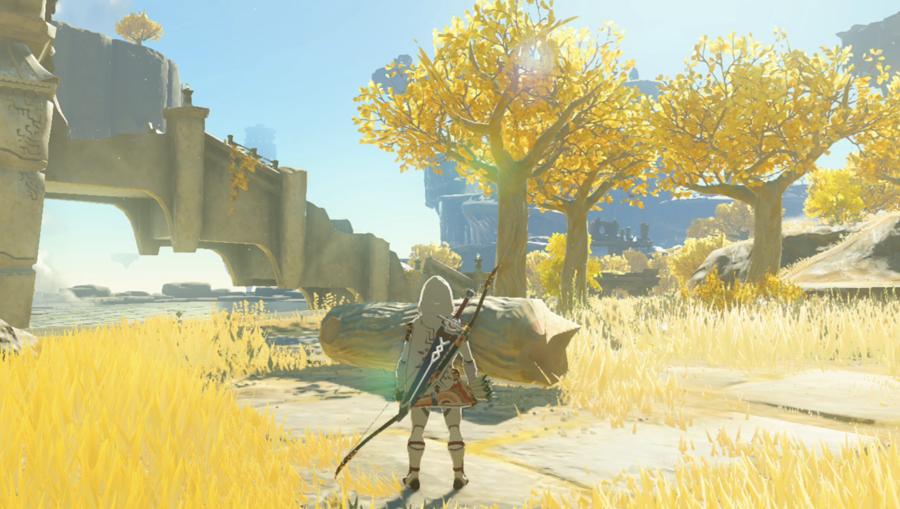 젤다의 전설, 먼 풍경을 바라보는 링크