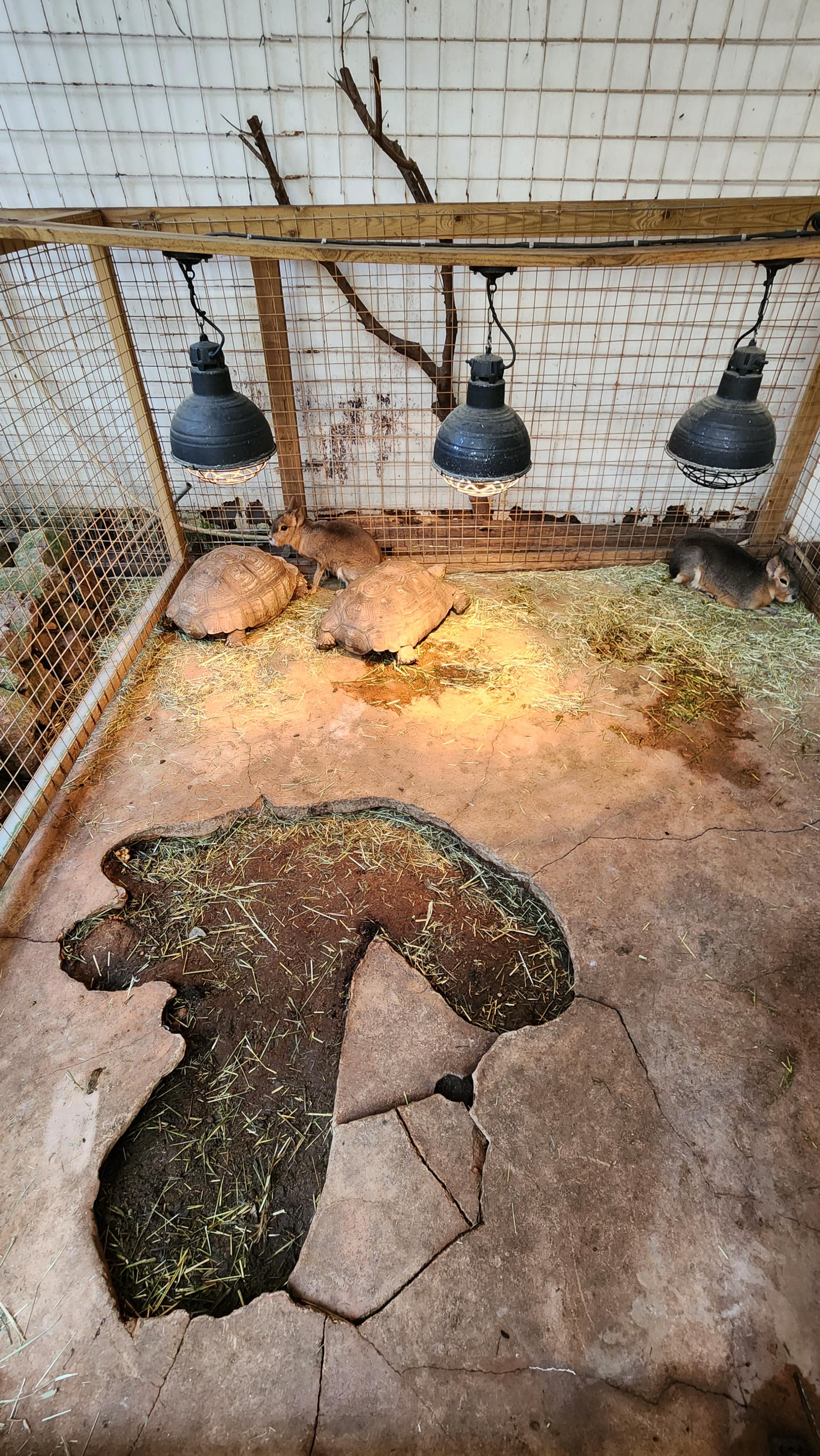 대구-네이처파크