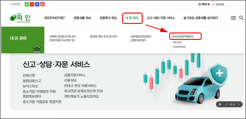 금융소비자 정보포털 파인