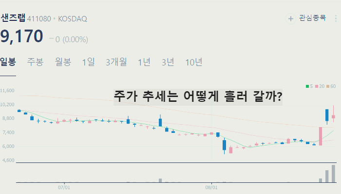 딥보이스 딥페이크 관련주 TOP10