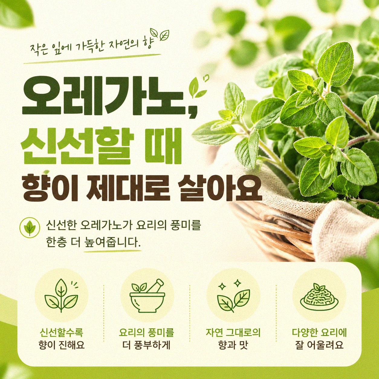 오레가노, 맛있는 요리에 어떻게 사용할까