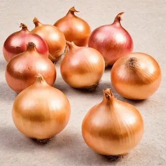 양파 보관법 양파 오래 보관법 3가지 방법_3