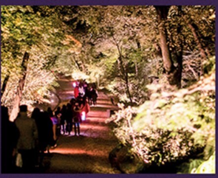 2024 창덕궁 달빛기행 티켓 예매 방법 행사 정보