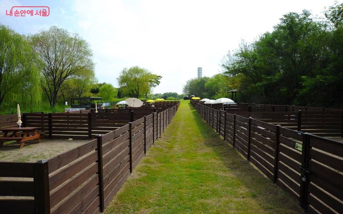 서울시 최초! 반려견 동반 노을 캠핑장 정보 및 예약 방법 알아보기