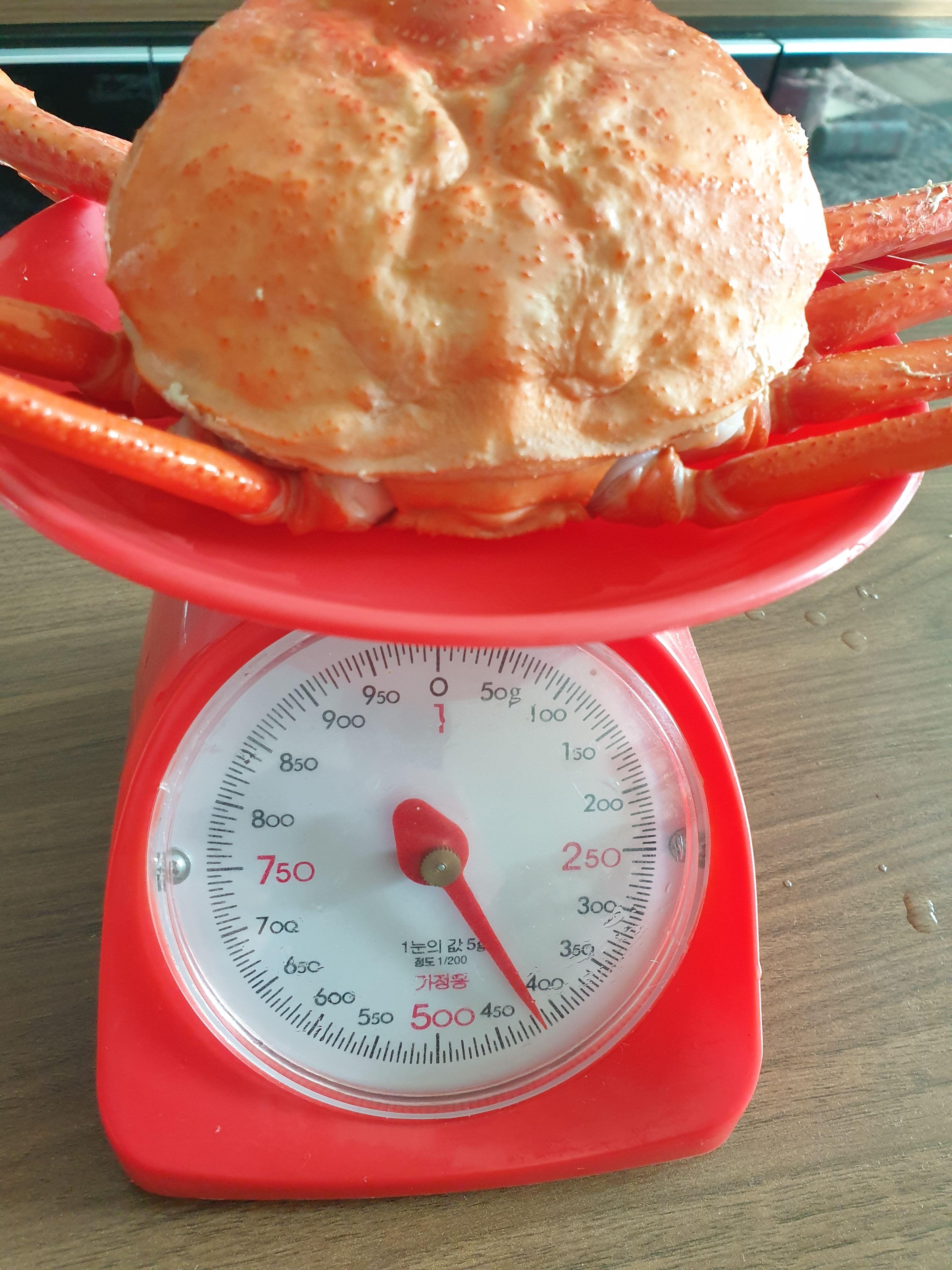 저울위에 올려진 대게