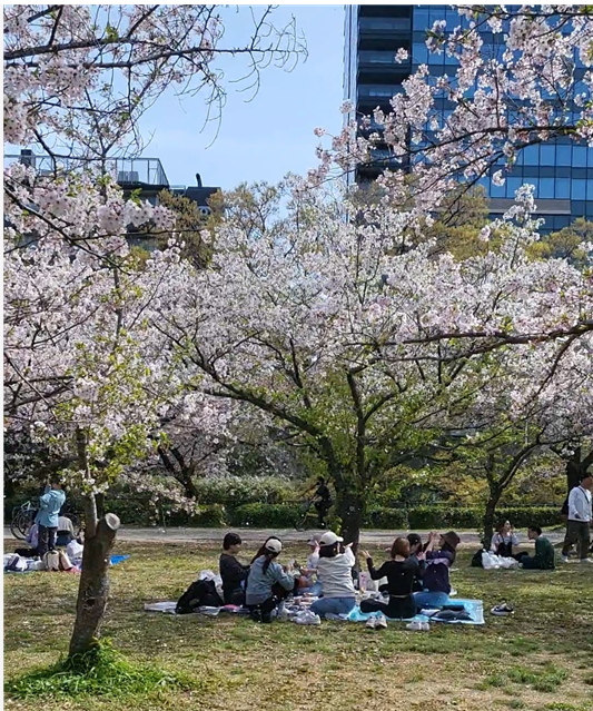 오사카성 피크닉