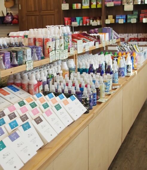 베어트리파크 단풍축제