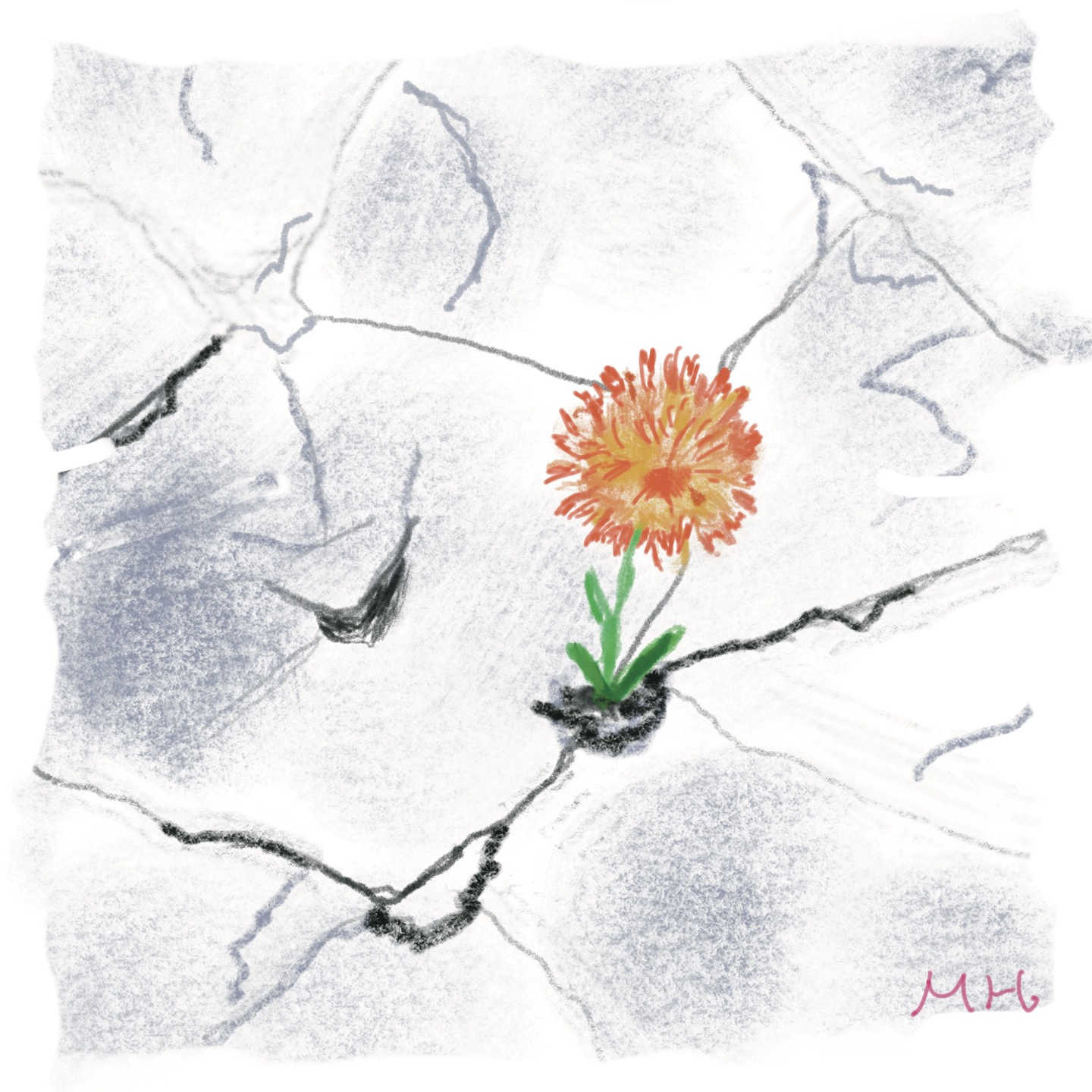 깨진 보도블록 위에 핀 민들레 꽃 그림