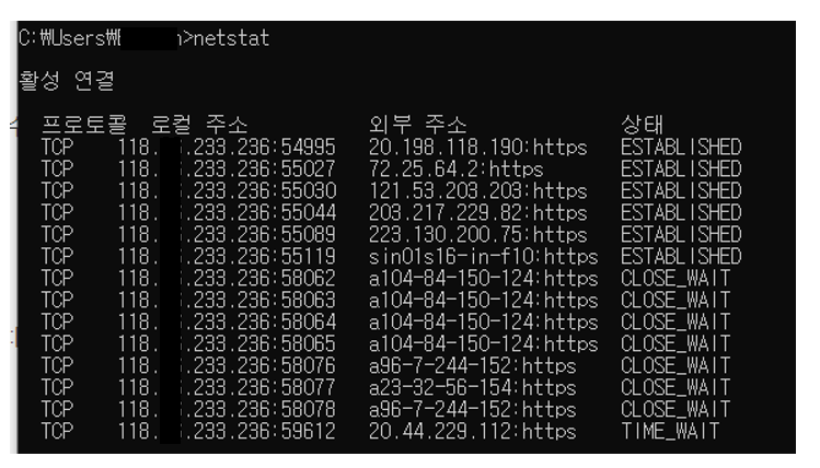 netstat 사용 예시