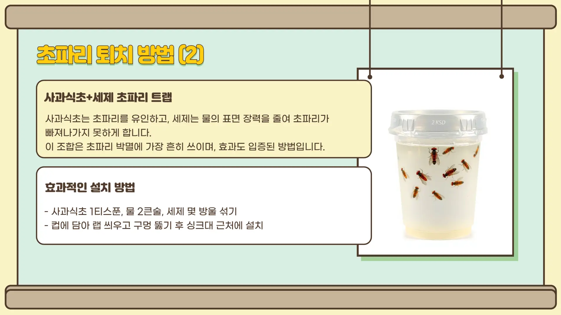 초파리 없애는 방법3