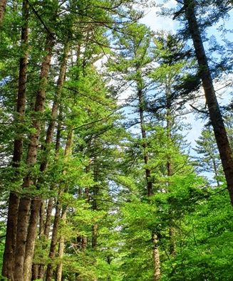 가을 바다 열차 여행 추천