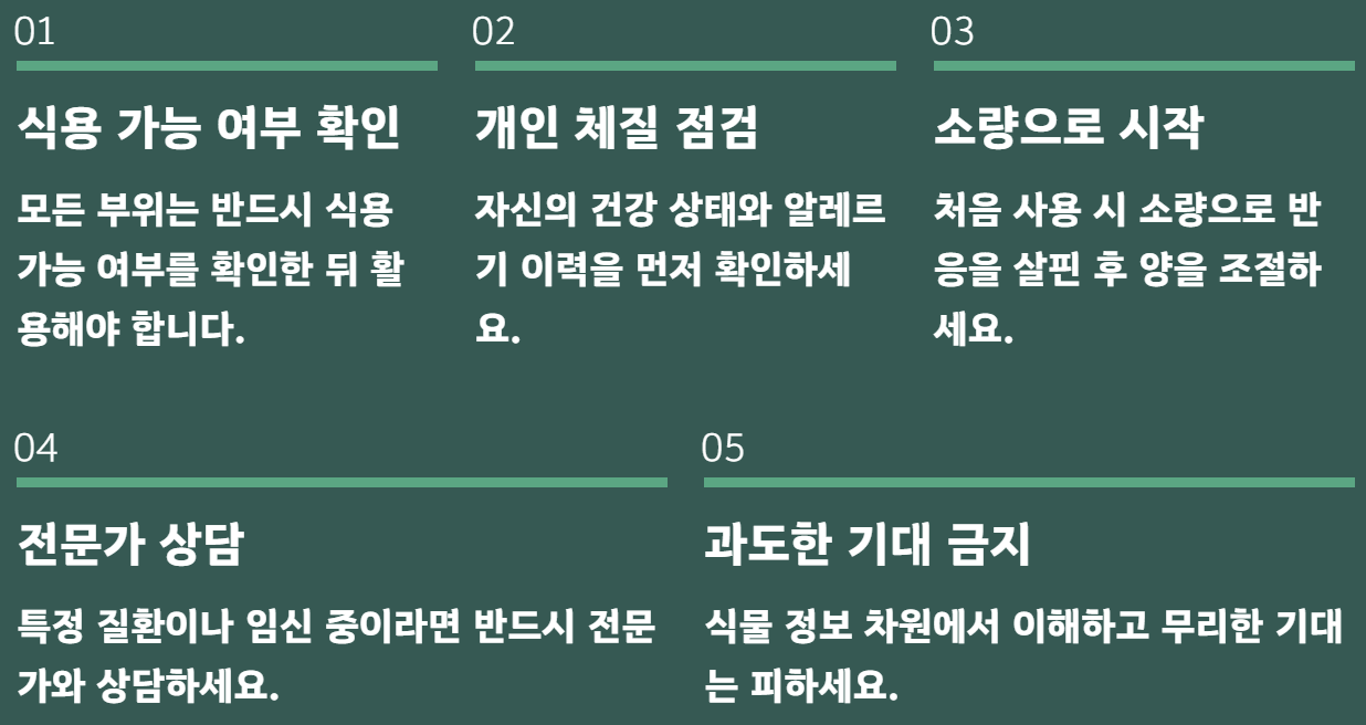 감태나무의 효능 열매 차 기름