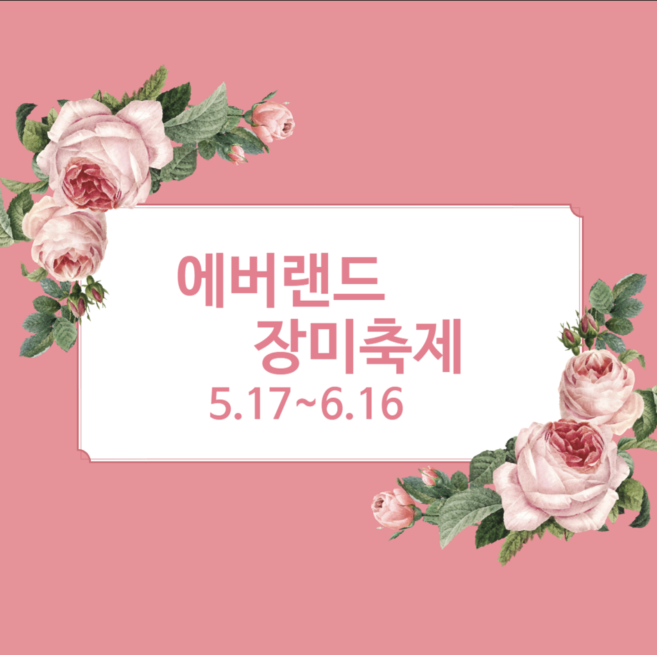 에버랜드장미축제