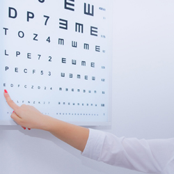 안과참조예시02