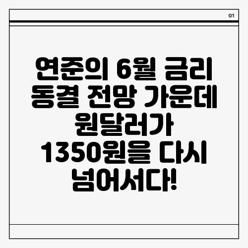 연준의 6월 금리 동결 전망 가운데 원달러가 1350원을 다시 넘어서다!