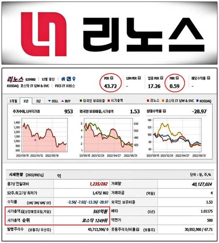 리노스-상장-기업-분석