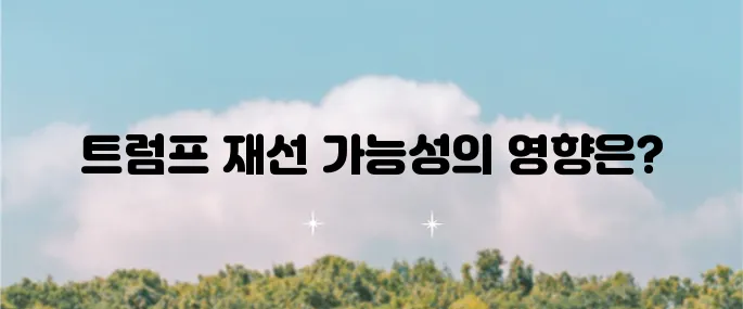 트럼프의 재선 가능성이 가져온 수혜주의 급등 원인 분석과 향후 세밀한 투자 전략 제시