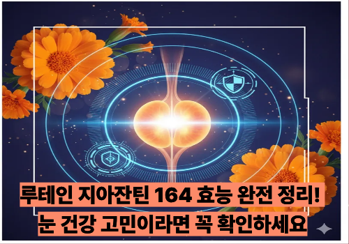 루테인 지아잔틴 164 효능 완전 정리! 눈 건강 고민이라면 꼭 확인하세요