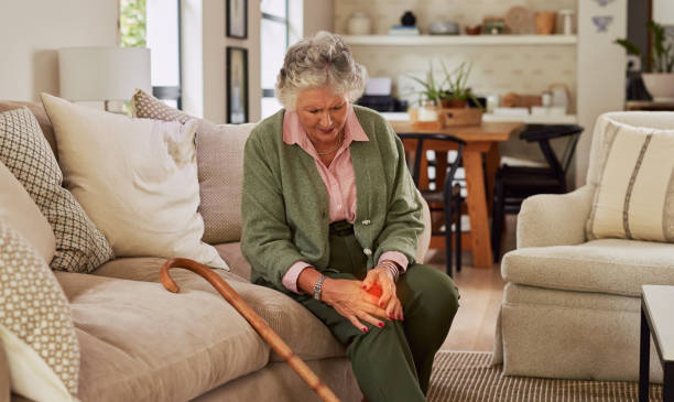 뼈엔 엠비피 MBP 효능