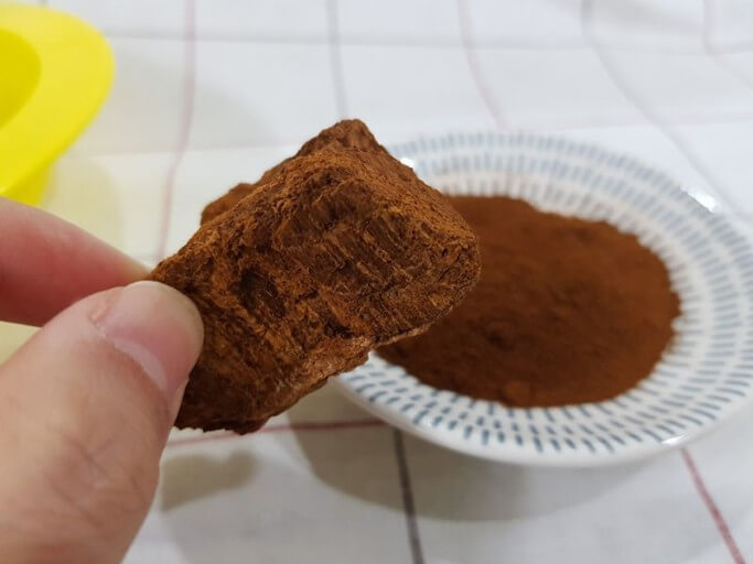 차가버섯 효능 8가지 및 부작용과 적정 권장량 차가버섯 파는 곳