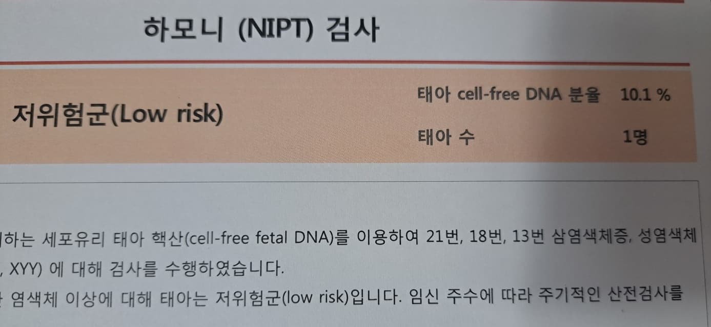 눈물의 다운증후군 1:17 니프티검사 결과 찐 후기 희망편