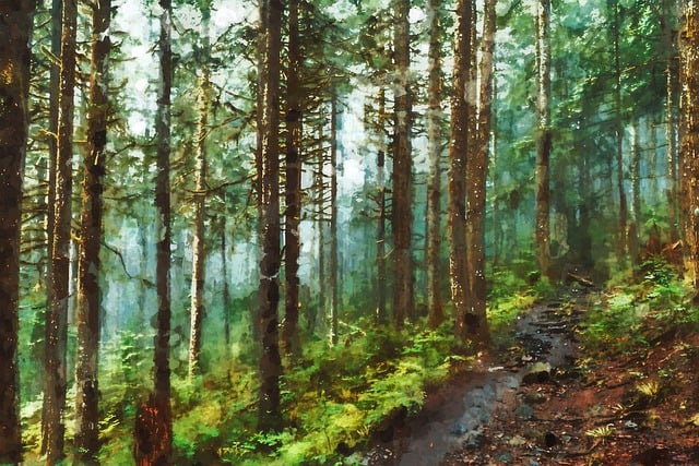 게임 Kingdom Hearts 이미지