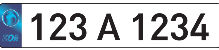 자동차번호판교체