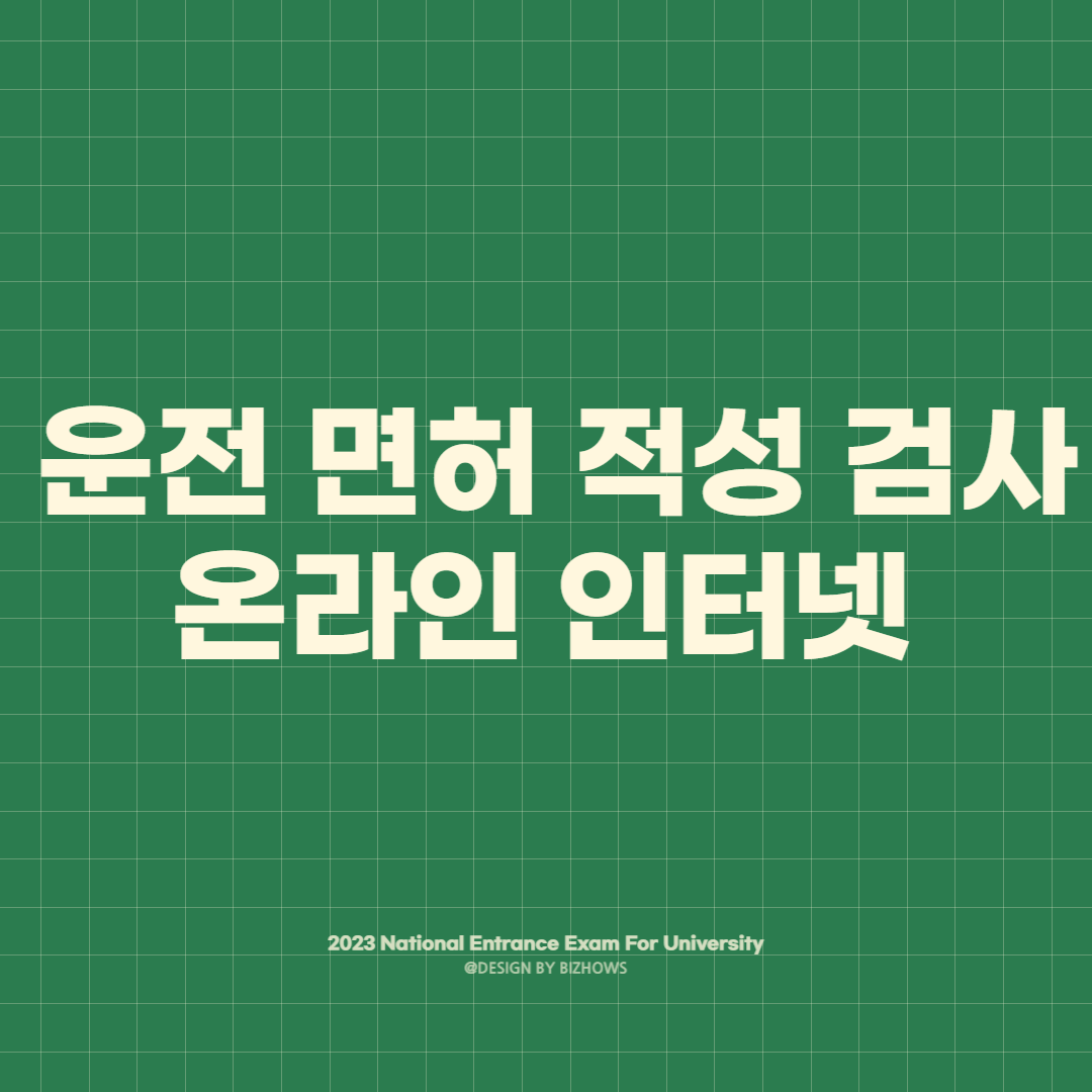 운전 면허 적성 검사