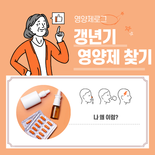 국내 갱년기 영양제 5가지 비교|성분·효과·추천 대상