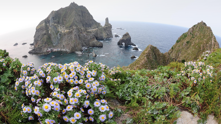 대한 민국 울릉도 사진