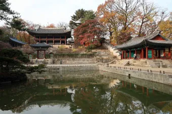 창덕궁 봄 꽃 개화 시기 근처 맛집 10선_9