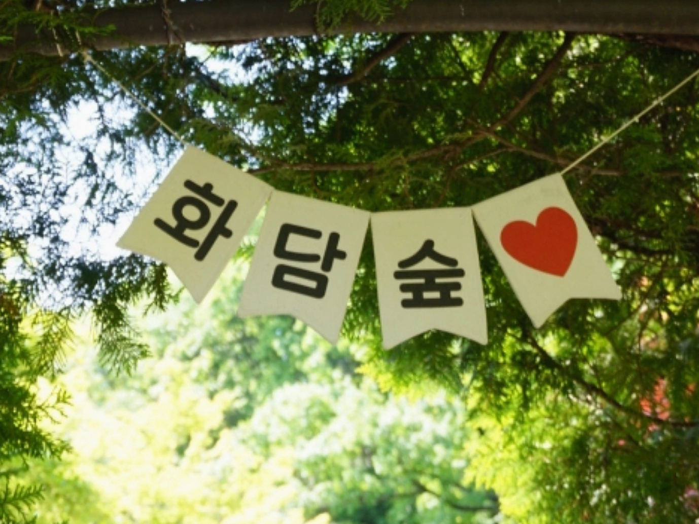 5~6월 화담숲 가볼만한 이유 6가지 - 수국축제부터 모노레일까지!