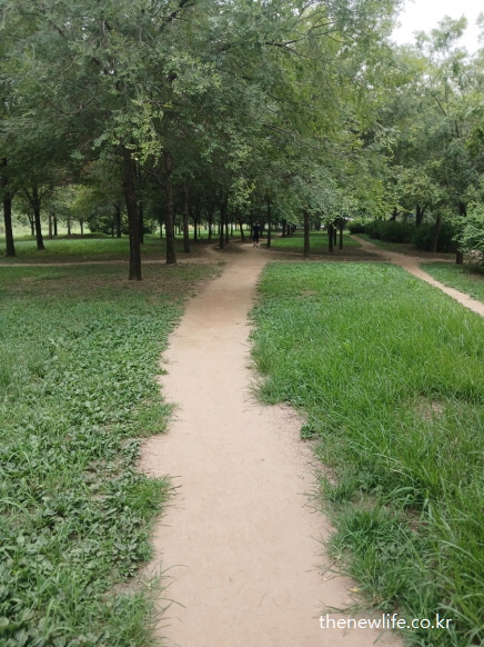 광나루 한강공원의 평탄한 흙길 &ndash; 서울 맨발 걷기 좋은 숲속 산책로